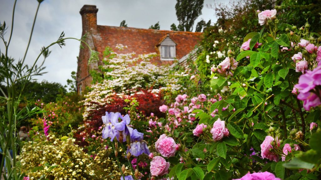 House with flowers in garden