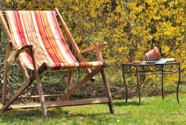 Deckchair with plantpot on table